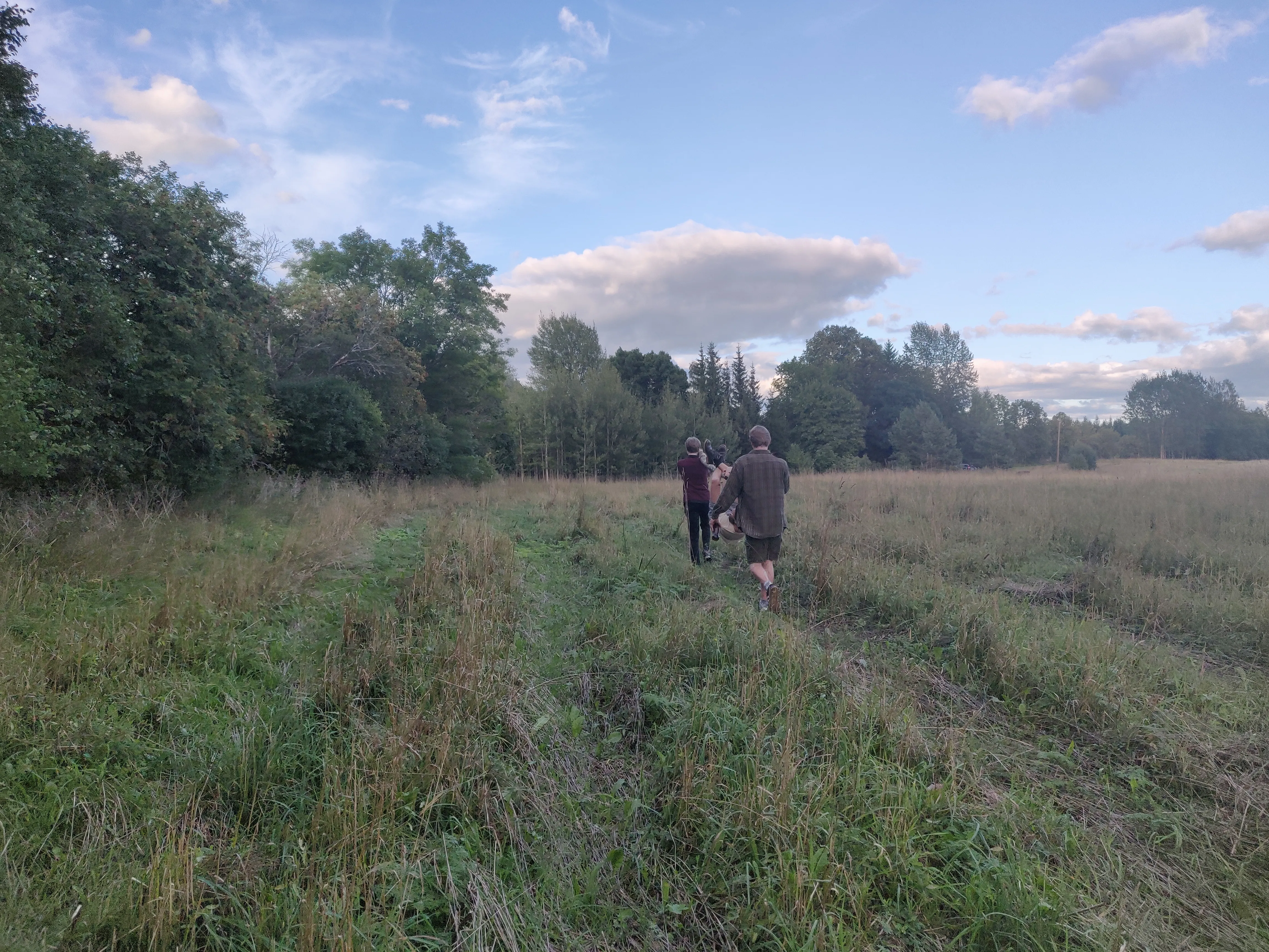 A group walking away across a grassy field at dusk, trees and clouds on the horizon.