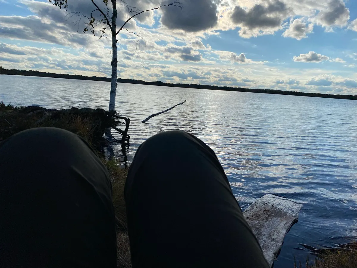 View from the ground of knees and a lake at golden hour, a birch tree and a fallen branch reflected in the water.