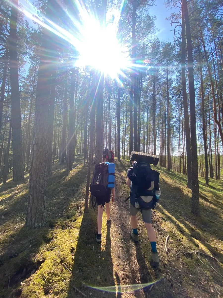 Two hikers with tall backpacks walking away down a sunlit forest trail, the sun flaring directly overhead.